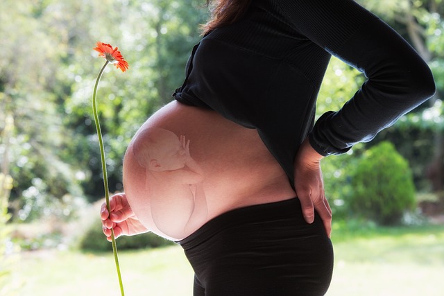 Fertilité. Conception au naturel