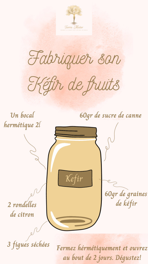 Kéfir de fruits fait maison. Limonade saine