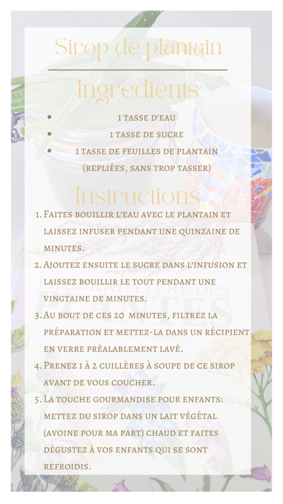 Sirop de plantain. Mathilde Combes