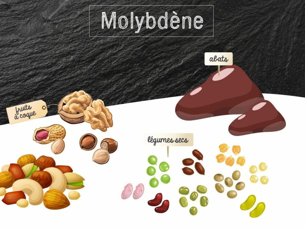 Molybdène